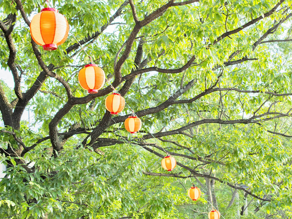 Cafe+Bの特徴画像